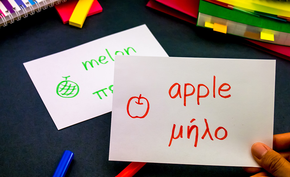 https://grekostudent.gr/wp-content/uploads/2024/02/trans-step-2.jpg